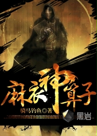 《麻衣神算子（第一季）》紫襟故事