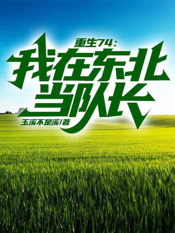 我在東北當警察