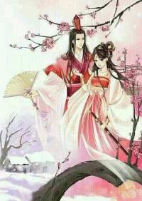 穿越小護士王妃