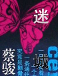 天機(jī)番外篇迷城