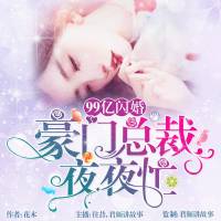 99億閃婚：豪門總裁夜夜忙