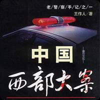 《中國西部大案》