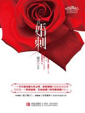 都市情感小說《婚刺》