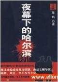 聽世界網(wǎng)為您提供：夜幕下的哈爾濱
