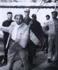 少林將軍許世友（單..