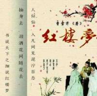 書說天下之紅樓夢標準版+續集