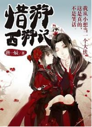 惜游西游記 唐一辰著