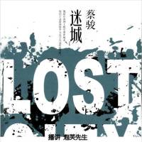 蔡駿作品《迷城》