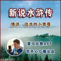 書說天下之新說水滸傳