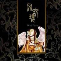 風(fēng)玫瑰