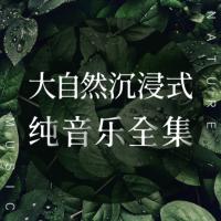 大自然沉浸式純音樂全集