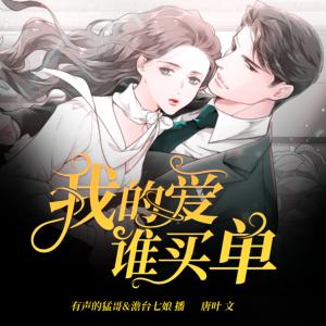 我的愛誰買單