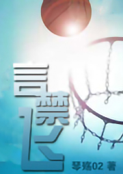 言禁飛