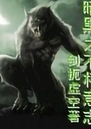 暗黑之不朽意志