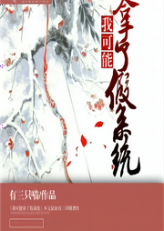 我可能拿了假系統