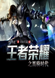 王者榮耀之黑騎時代