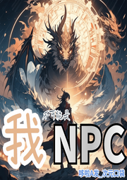 我不可能是NPC