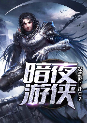 暗夜游俠