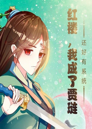 紅樓，我成了賈璉