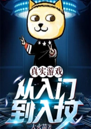 真實游戲:從入門到入墳