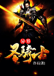 異界圣騎士