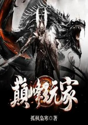 巔峰玩家