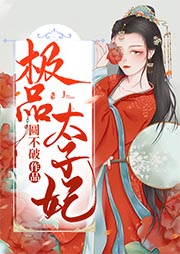 極品太子妃