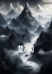 楚清司