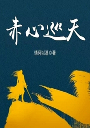 赤心巡天
