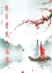 明月曾照江東寒--丁墨