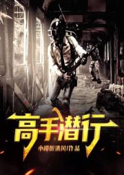 高手潛行