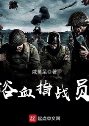 浴血指戰員