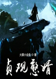 貞觀憨婿