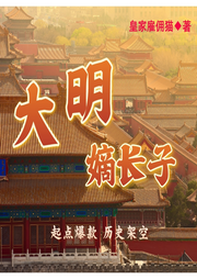 大明嫡長子