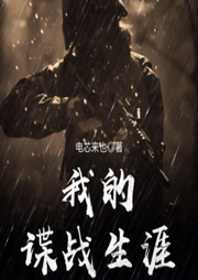 我的諜戰生涯