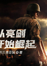 從亮劍開始崛起