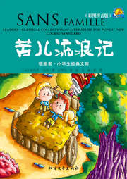 苦兒流浪記