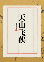 天山飛俠
