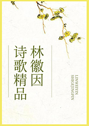 林徽因詩歌精品