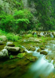 《縱情山水》