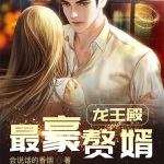 最豪贅婿-龍王殿