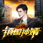 鎮國神婿