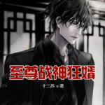 至尊戰神狂婿