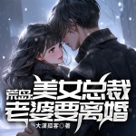 荒島：美女總裁老婆要離婚