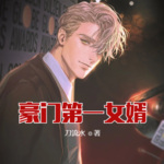 豪門第一女婿