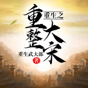 重生之重整大宋