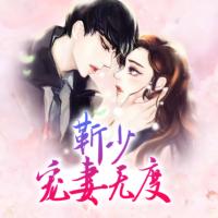 靳少寵妻無度