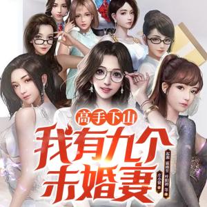 高手下山：我有九個未婚妻
