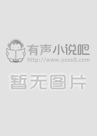 《局中局》