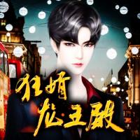 狂婿龍王殿